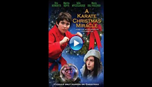 A Karate Christmas Miracle (2019)