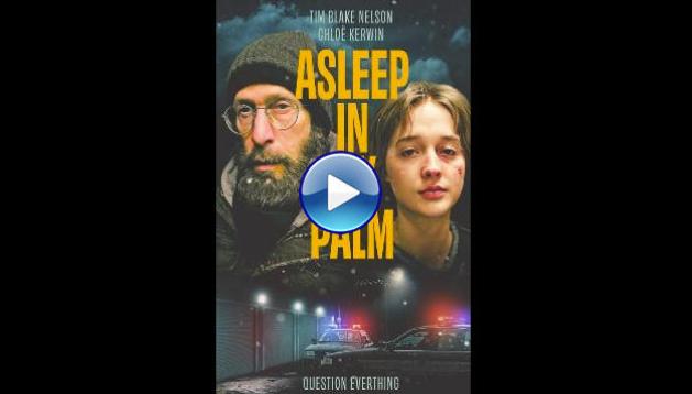 Asleep in My Palm (2024)