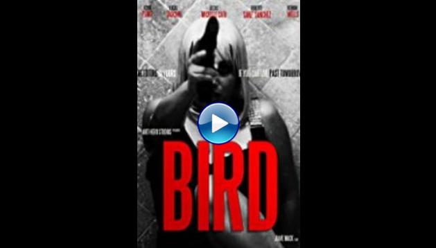 Bird (2020)