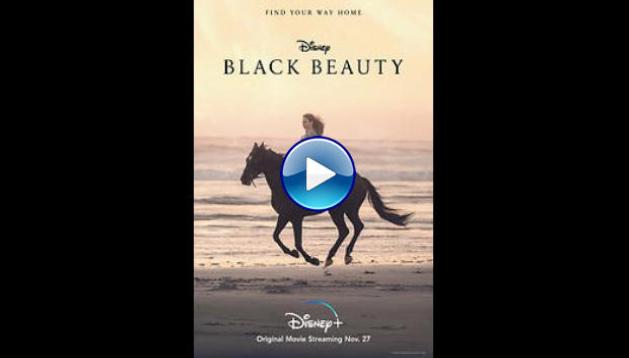 Black Beauty (2020)