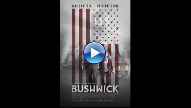 Bushwick (2017)