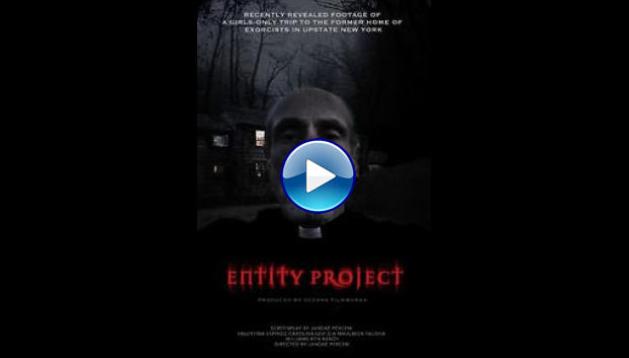 Entity Project (2019)