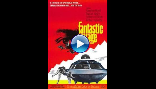 Fantastic Voyage (1966)