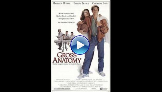 Gross Anatomy (1989)