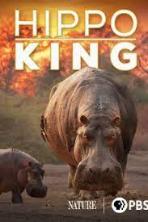 Hippo King (2022)