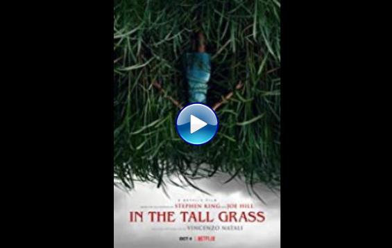 In the Tall Grass (2019)