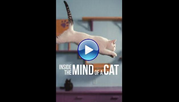 Inside the Mind of a Cat (2022)