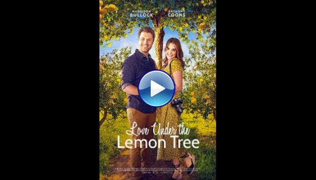 Love Under the Lemon Tree (2022)