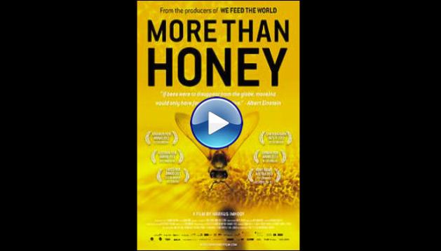 More Than Honey (2012)