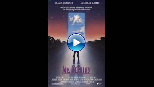 Mr. Destiny (1990)