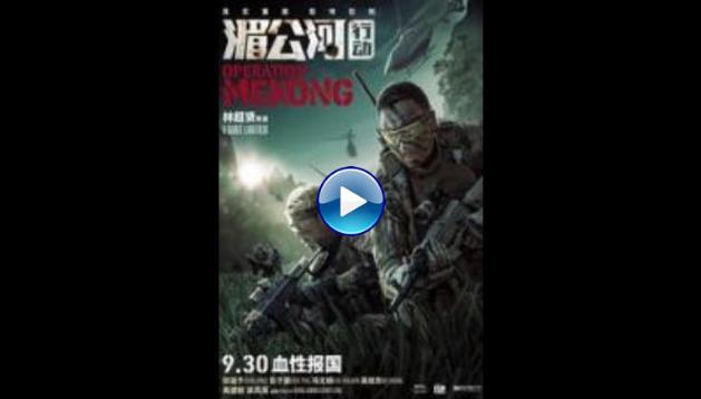 Operation Mekong (2016)