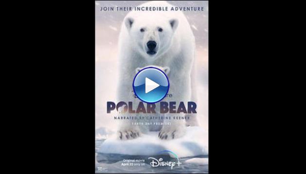 Polar Bear (2022)