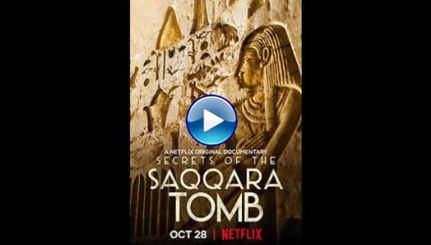 Secrets of the Saqqara Tomb (2020)