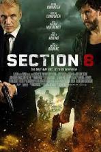 Section 8 (2022)