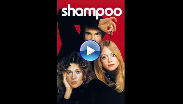 Shampoo (1975)