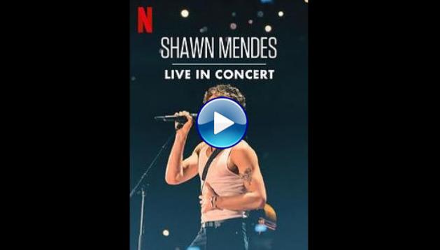 Shawn Mendes: Live in Concert (2020)