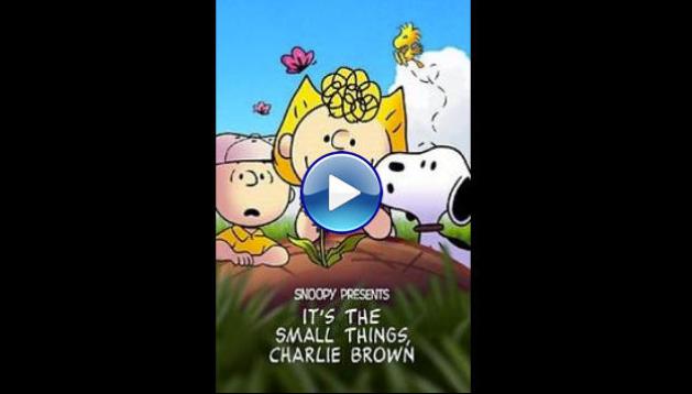 Snoopy Presents: It�s the Small Things, Charlie Brown (2022)