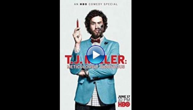 T.J. Miller: Meticulously Ridiculous (2017)