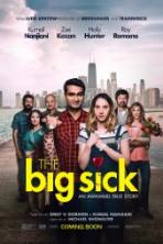 The Big Sick (2017)