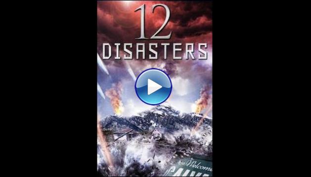 The 12 Disasters of Christmas (2012)