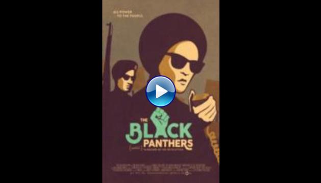 The Black Panthers: Vanguard of the Revolution (2015)