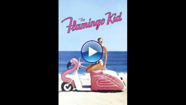 The Flamingo Kid (1984)