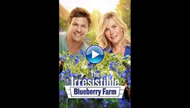 The Irresistible Blueberry Farm (2016)