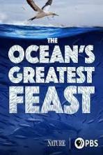 The Oceans Greatest Feast (2022)