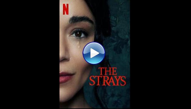 The Strays (2023)