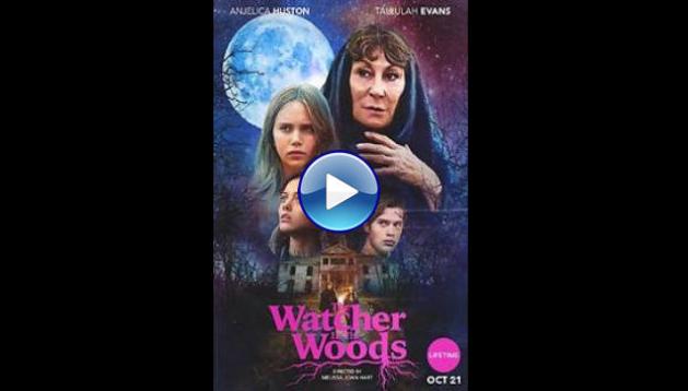 The Watcher in the Woods (2017)