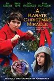 A Karate Christmas Miracle (2019)