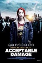 Acceptable Damage (2019)