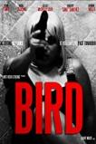 Bird (2020)