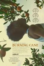 Burning Cane (2019)