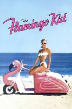 The Flamingo Kid (1984)