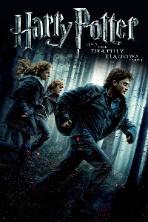 Harry Potter and the Deathly Hallows: Part 1 (2010)