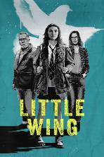 Little Wing (2024)