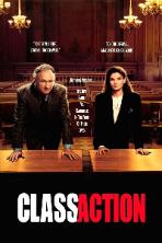 Class Action (1991)