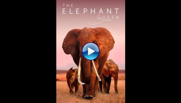 The Elephant Queen (2019)