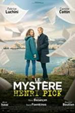 The Mystery of Henri Pick (2019)