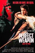 The Perfect Weapon (1991)