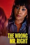 The Wrong Mr. Right (2021)