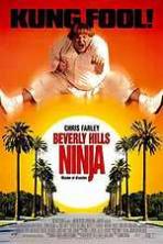 Beverly Hills Ninja