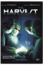 The Harvest (1993 )
