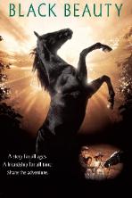 Black Beauty