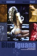 Dancing at the Blue Iguana