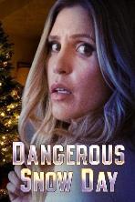 Dangerous Snow Day