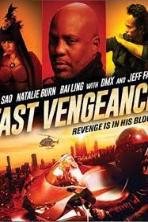Fast Vengeance