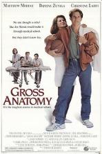 Gross Anatomy
