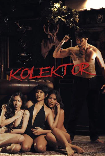 Kolektor